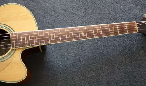 Ibanez ael 40 sale